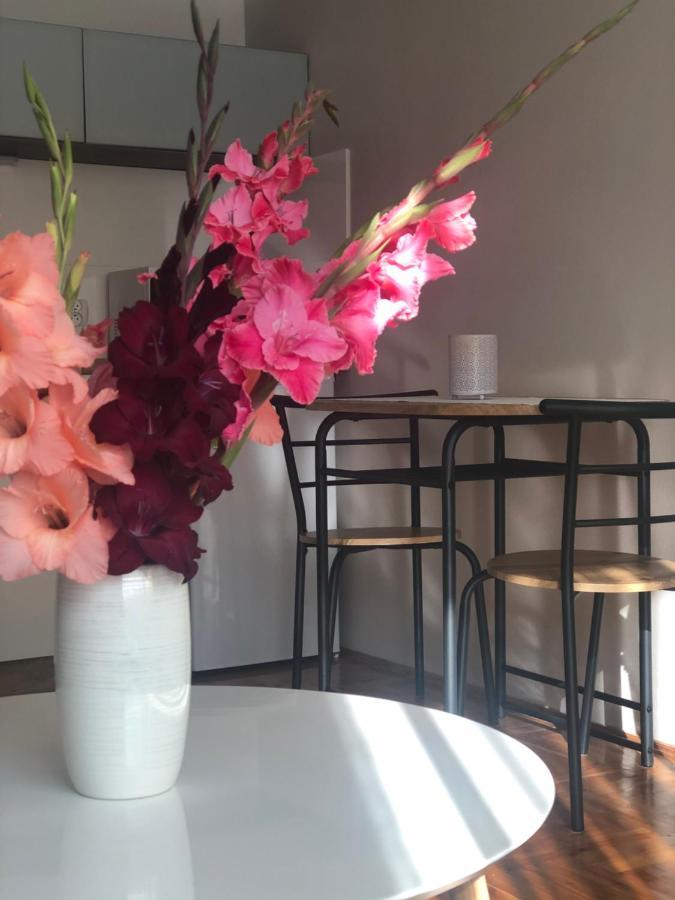 Lapacz Snow II Apartment Tylicz Ngoại thất bức ảnh